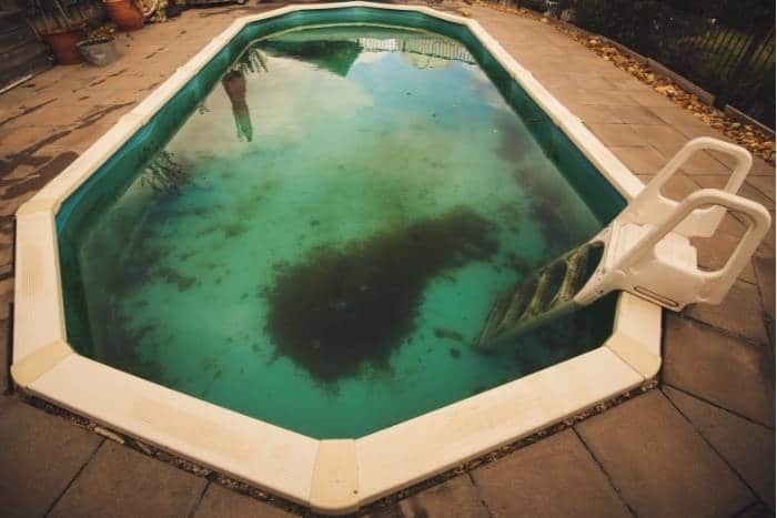 Alghe nella piscina